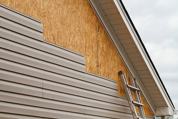 Best Aluminum Siding Installation  in Redby, MN